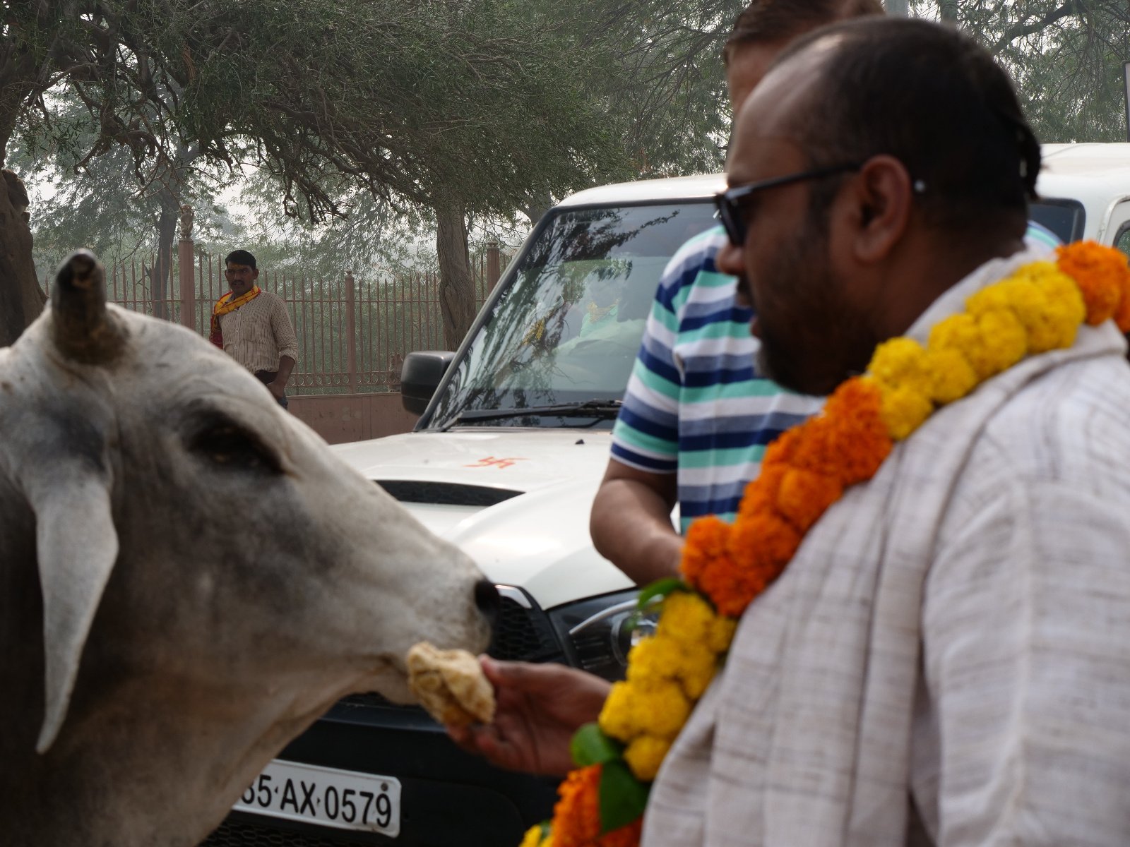  207 Gopashtami Radha kunda Govardhan 19.11.04